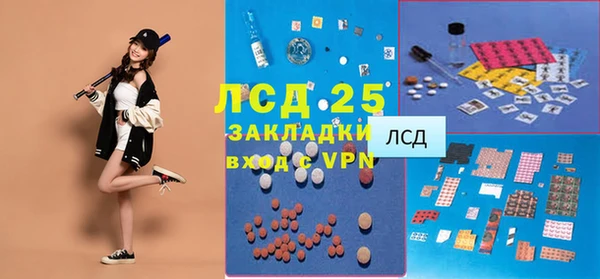 соль ск Няндома