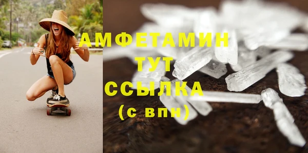 прущие грибы Аша