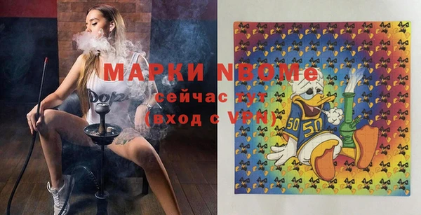 соль ск Няндома