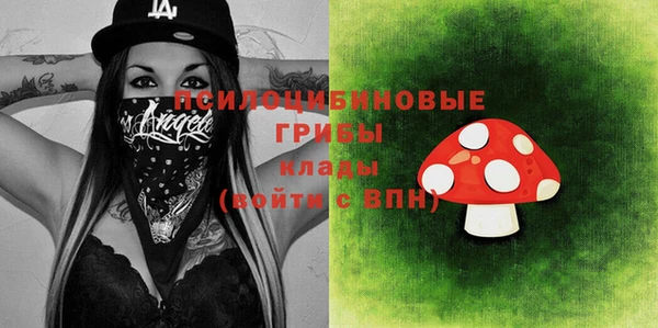 соль ск Няндома