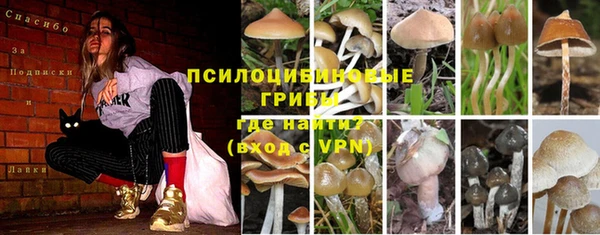 кристаллы Нягань
