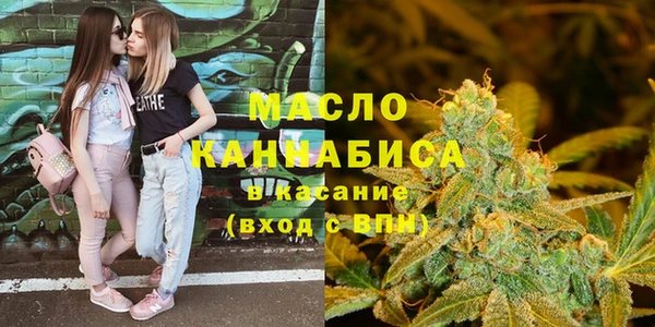 соль ск Няндома