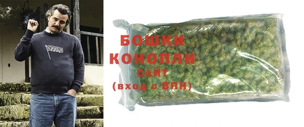 крисы Новозыбков